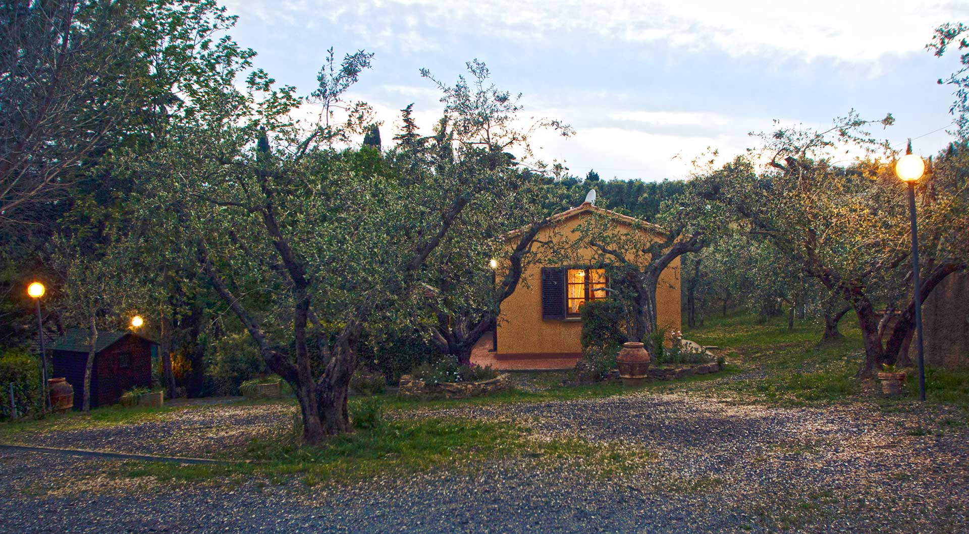 An oasis of peace and quiet, with apartments in the green setting of our olive grove