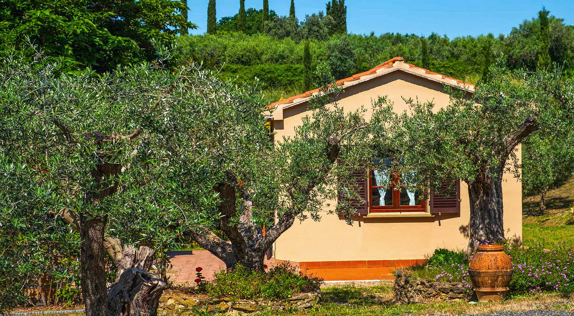 Un'oasi di pace con appartamenti immersi nel verde degli ulivi
